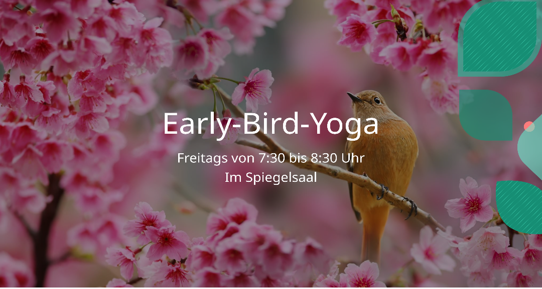 Early-Bird-Yoga jetzt im Sportprogramm