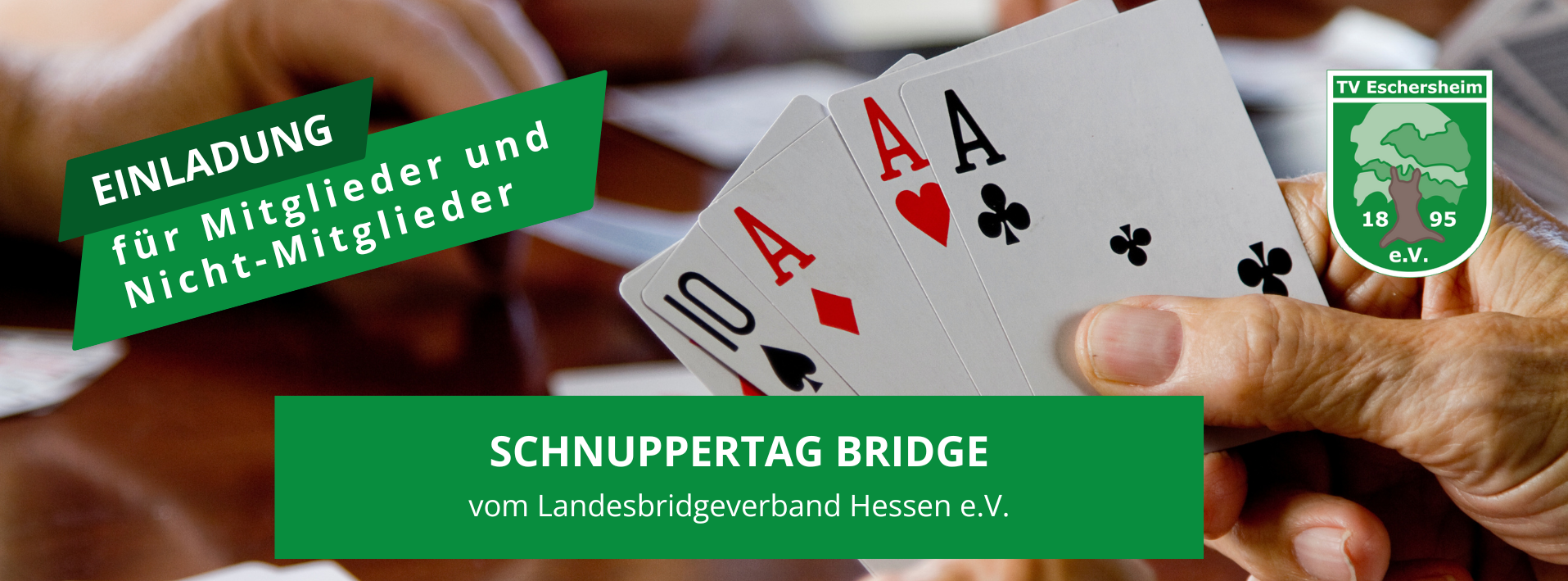 Schnuppertag Bridge