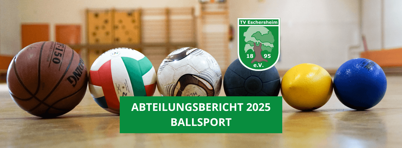 Abteilungsbericht – Ballsport 2025