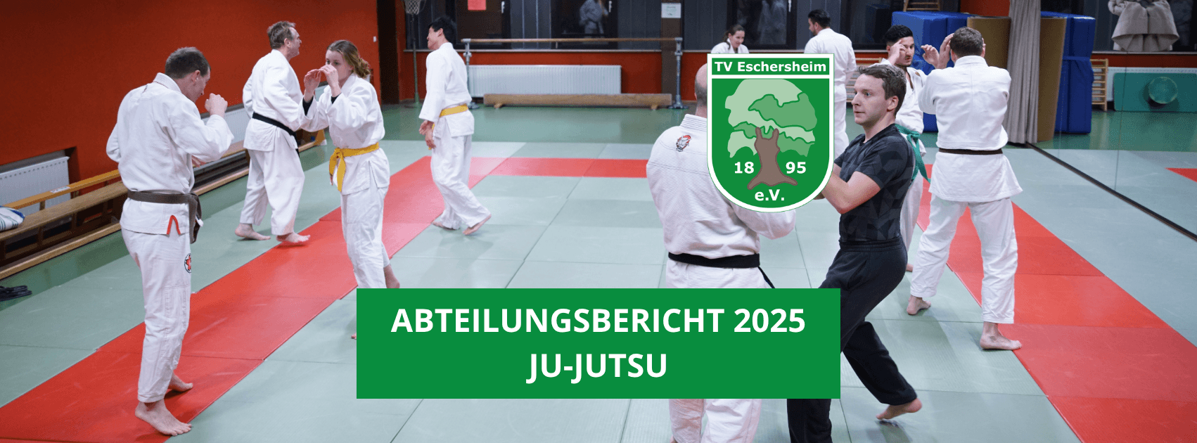 Abteilungsbericht – Ju-Jutsu 2025